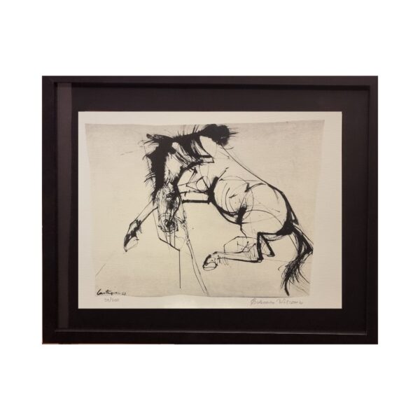 Juan Carlos Castagnino El Bagual